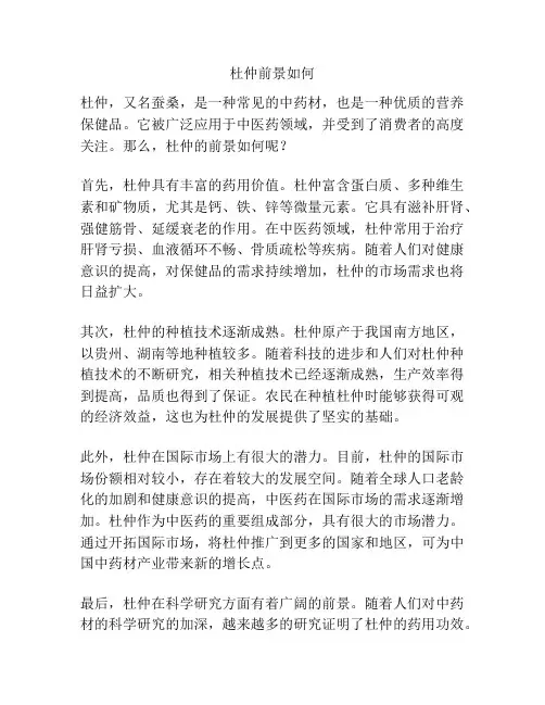 杜仲前景如何