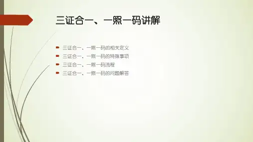 三证合一一照一码讲解