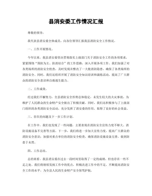 县消安委工作情况汇报