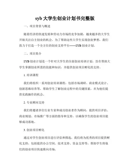 syb大学生创业计划书完整版