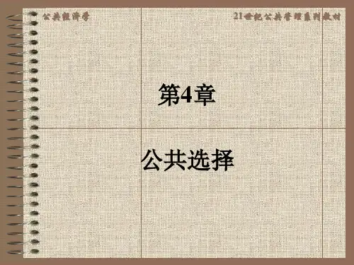 公共经济学第4章(2)