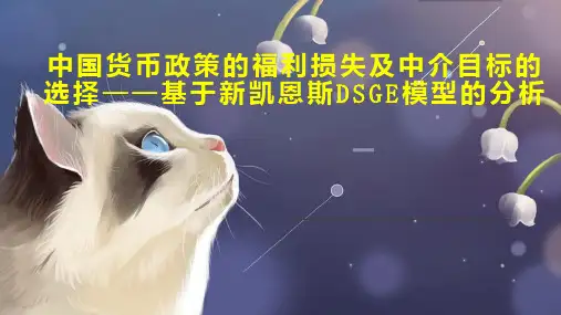 中国货币政策的福利损失及中介目标的选择基于新凯恩斯DSGE模型的分析