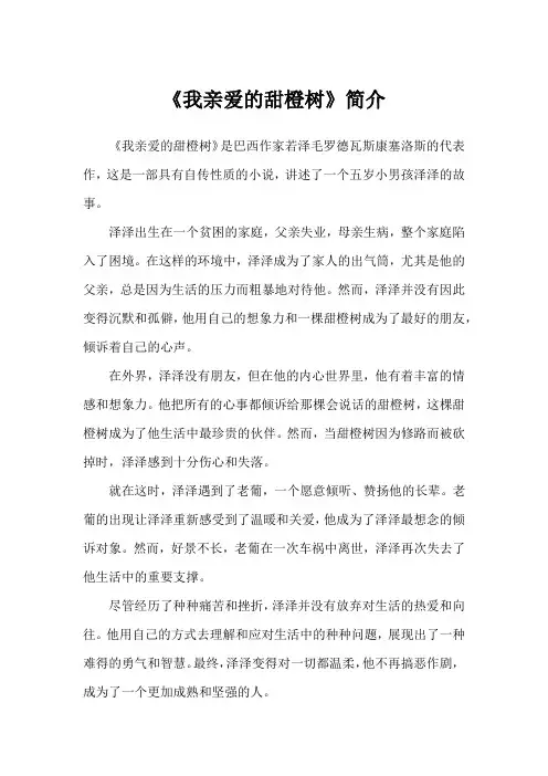 《我亲爱的甜橙树》简介