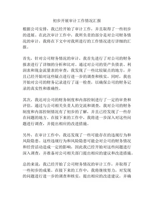 初步开展审计工作情况汇报
