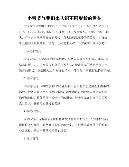 小雪节气我们来认识不同形状的雪花