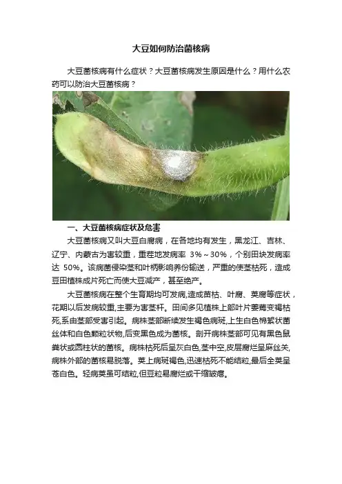 大豆如何防治菌核病