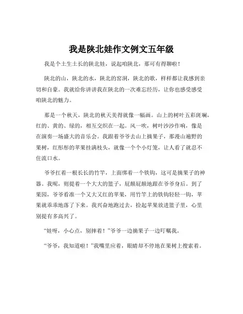 我是陕北娃作文例文五年级