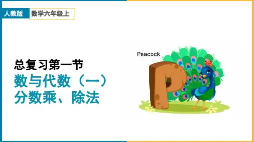 小学数学人教版六年级上册《第9单元总复习课时1数与代数(一)分数乘、除法》课件