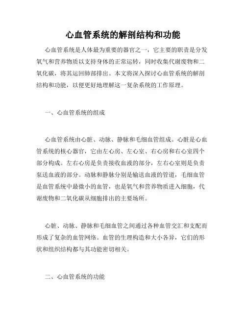 心血管系统的解剖结构和功能