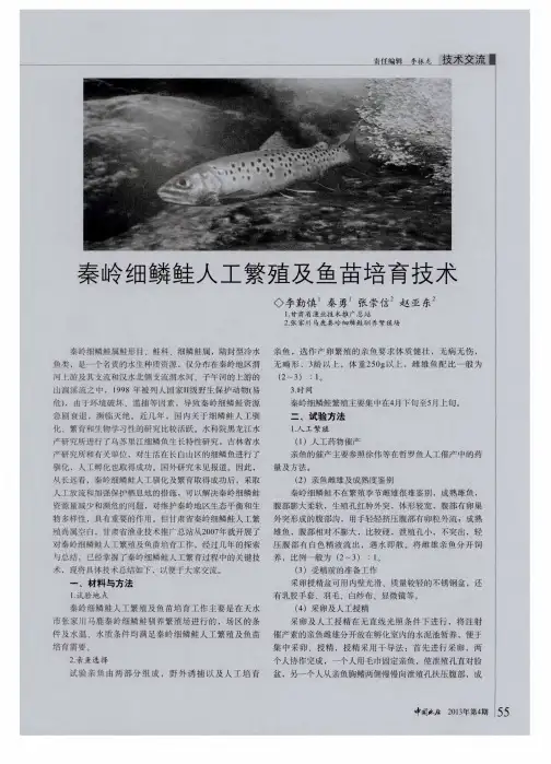 秦岭细鳞鲑人工繁殖及鱼苗培育技术