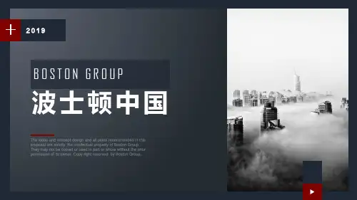 波士顿集团简介