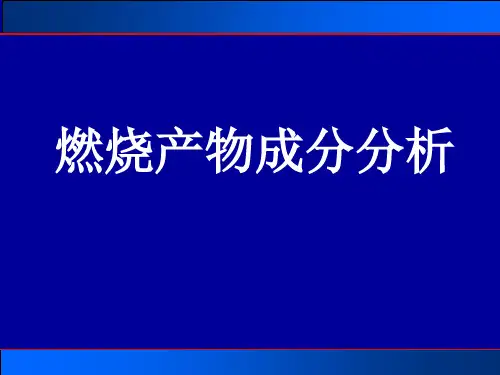 5(1)-燃烧产物成分分析解析