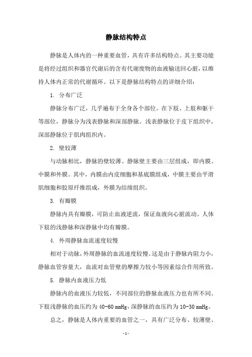 静脉结构特点
