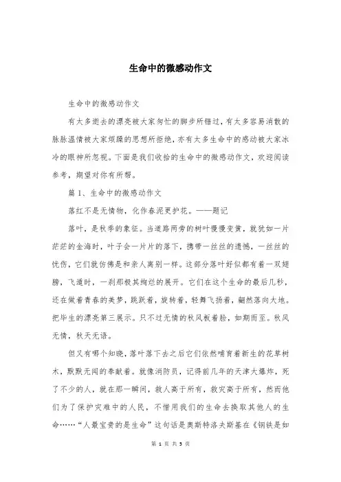 生命中的微感动作文