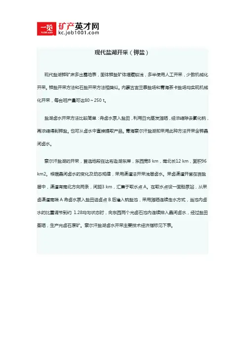 现代盐湖开采(钾盐)