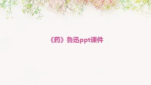 《药》鲁迅ppt课件