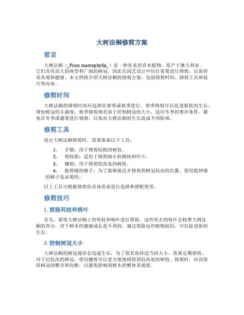 大树法桐修剪方案