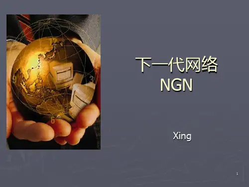 下一代网络关键技术PPT课件