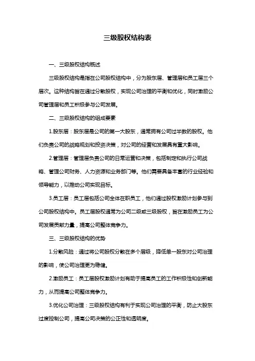 三级股权结构表