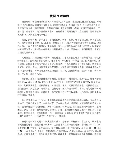 校园20种植物