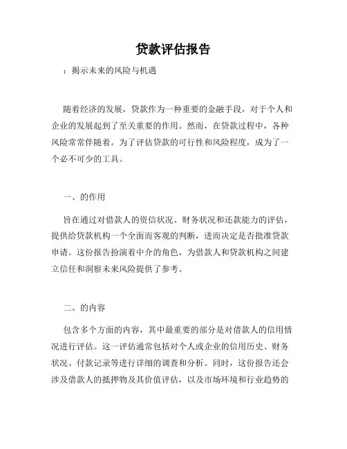 贷款评估报告
