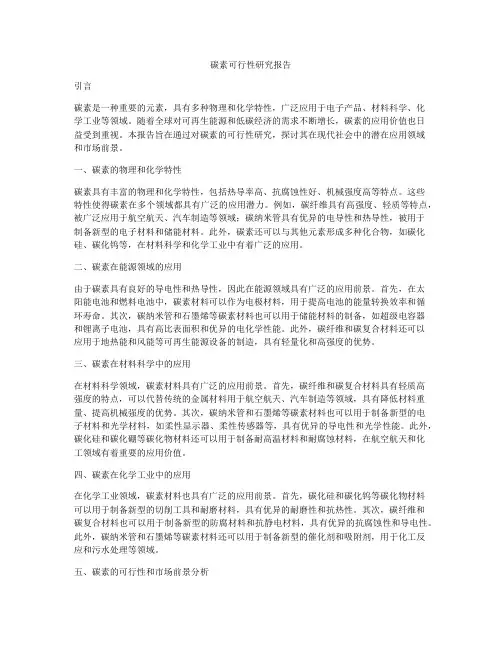 碳素可行性研究报告
