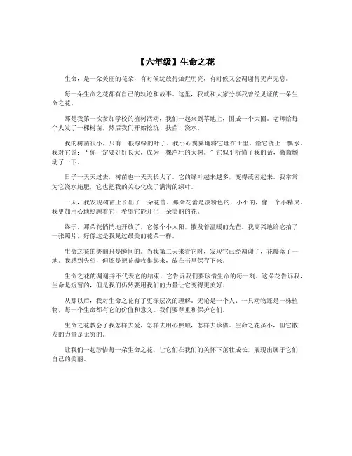 【六年级】生命之花