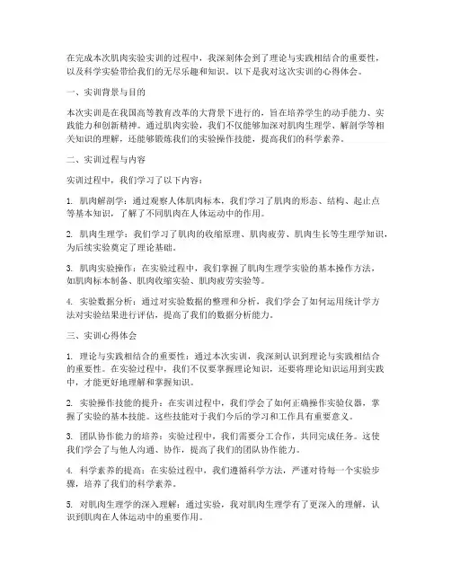 肌肉实验实训报告心得体会