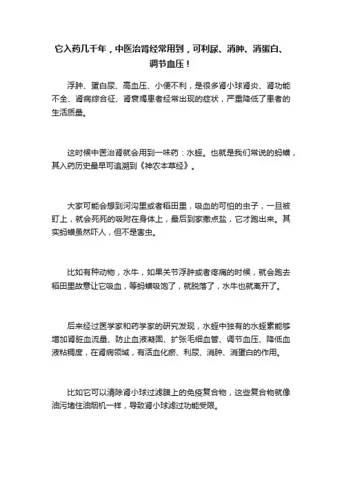 它入药几千年，中医治肾经常用到，可利尿、消肿、消蛋白、调节血压！