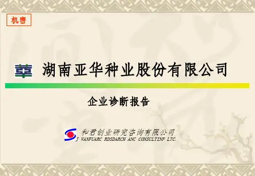 《企业诊断报告》