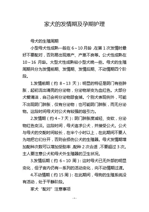 家犬的发情期及孕期护理