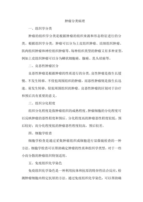 肿瘤分类病理