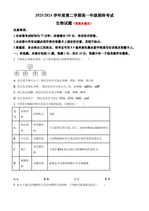 江苏省盐城市2023-2024学年高一下学期6月期末考试 生物含答案