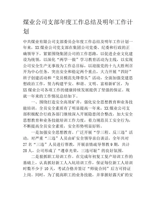 煤业公司支部年度工作总结及明年工作计划