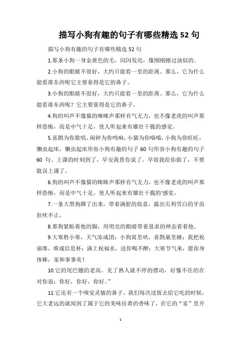 描写小狗有趣的句子有哪些精选52句