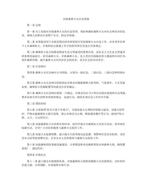 市级森林火灾应急预案