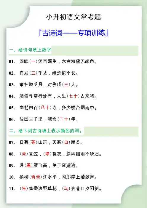 小升初语文常考古诗词专项训练