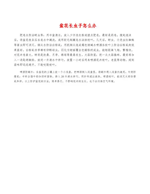 盆花长虫子怎么办
