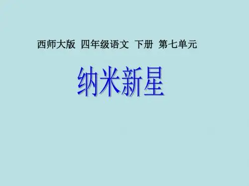 西师纳米新星课件PPT