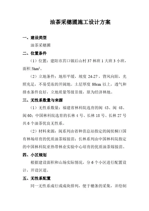 油茶采穗圃设计方案