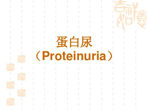 蛋白尿(Proteinuria)精品PPT课件