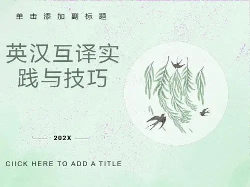 英汉互译实践与技巧课件