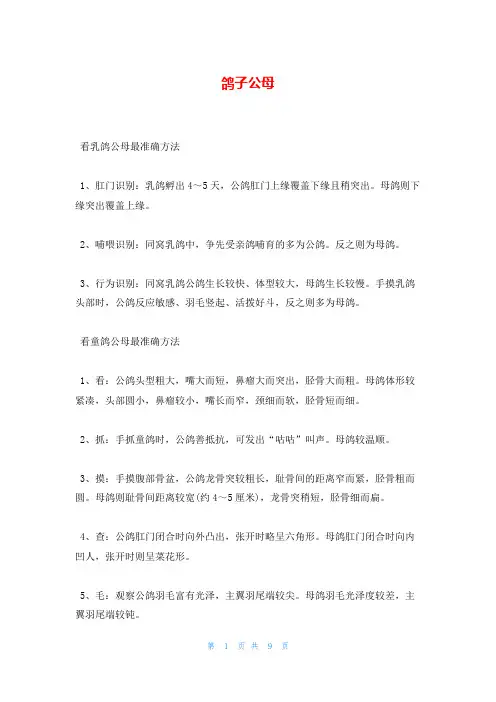 鸽子公母_精品文档
