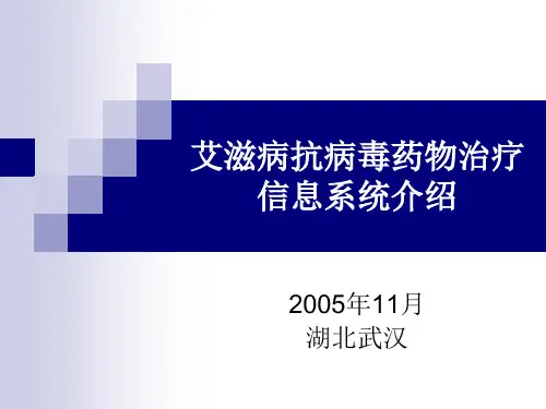 艾滋病免费抗病毒药物治疗管理信息系统框架.pptx