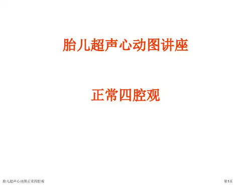 胎儿超声心动图正常四腔观专家讲座