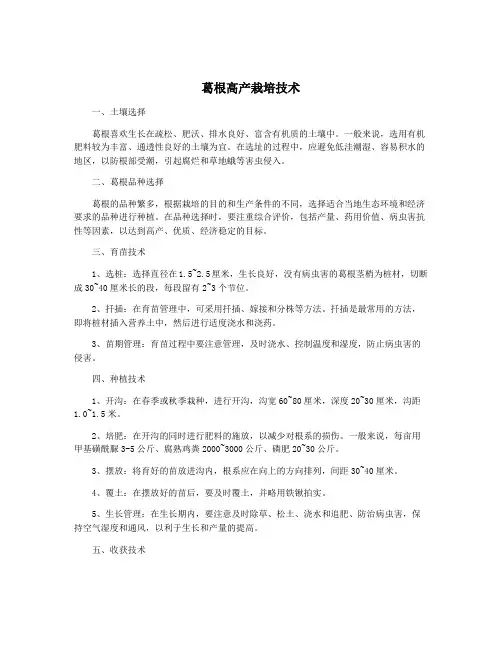 葛根高产栽培技术