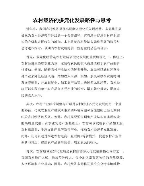 农村经济的多元化发展路径与思考
