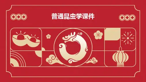 普通昆虫学课件ppt