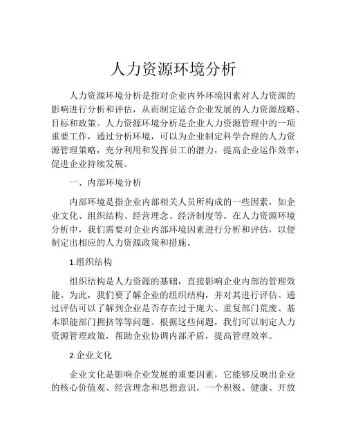 人力资源环境分析