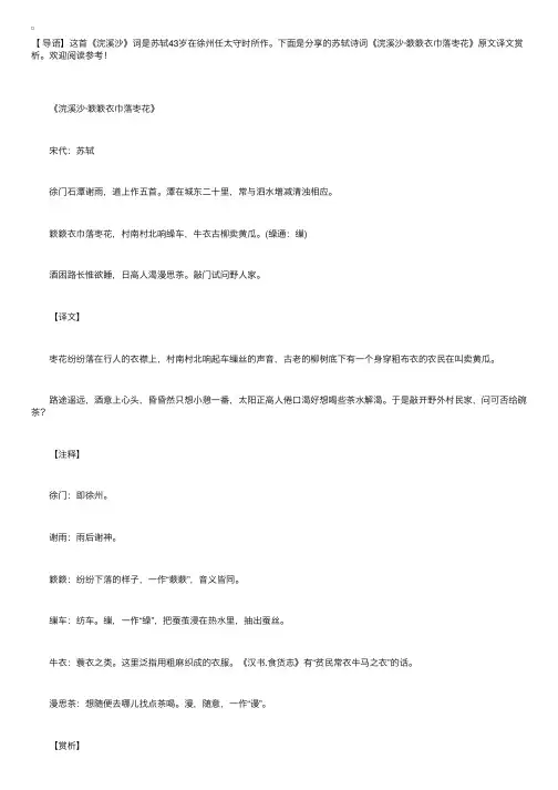 苏轼诗词《浣溪沙·簌簌衣巾落枣花》原文译文赏析